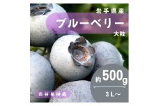 ＜期間限定＞＜苅谷果樹園＞大粒ブルーベリー(3L～サイズ)約500g　小分けパック　岩手県軽米町【1518038】