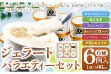 ジェラート 6種 6個 バラエティーセット GELATERIA NAKAICHI《30日以内に出荷予定(土日祝除く)》岩手県 九戸村 ジェラート アイス ミルク チョコ 抹茶 リンゴ ラムレーズン