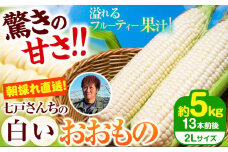 朝採れ直送！ とうもろこし 白いおおもの 甘い 約5kg 13本入り 2Lサイズ 七戸宏大《8月上旬-8月中旬頃出荷》岩手県 九戸村 ホワイトコーン 白いとうもろこし おおもの 5kg スイートコーン