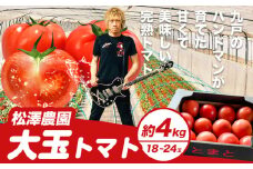 【2025年先行受付】 トマト 大玉トマト 新鮮 4kg (18-24玉) 松澤農園《2025年7月上旬-10月下旬頃出荷》 岩手県 九戸村 野菜 岩手県産 国産 お取り寄せ 送料無料 大きい リコピン 美容 甘い 健康
