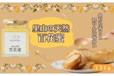里山の天然 百花蜜 230g 無添加 国産 非加熱 はちみつ 蜂蜜 ハチミツ