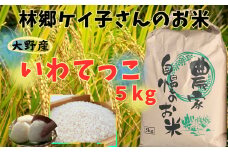 【令和6年産】大野産いわてっこ5㎏