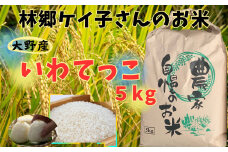 【令和6年産】大野産いわてっこ5㎏