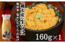 【7/31まで】「種市産」天然生うに 160ｇ×1本 ミョウバン不使用 無添加 本州一 増殖溝 北三陸 塩水 牛乳瓶入り 雲丹 鮮度抜群