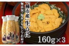 【令和８年発送】先行予約「種市産」天然生うに 160ｇ×3本 ミョウバン不使用 無添加 本州一 増殖溝 北三陸 塩水 牛乳瓶入り 雲丹 鮮度抜群