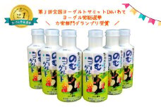おおのミルク村 のむヨーグルト750ml×6本 全国ヨーグルトサミットグランプリ受賞 超濃厚 ファミリーボトル 酪農家の味