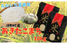 【令和7年産】洋野町産あきたこまち10㎏（5㎏×2袋）