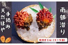 【殻付】南部潜りの手摘み天然ほや 1kg（3～5個）伝統 南部ダイバー 産地直送