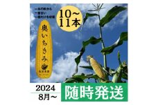 ＜奥いちきみ10～11本入り＞2024年8月より朝採り随時発送(一本の幹から一番甘い一個だけを収穫)【1410484】