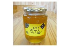 一戸町産はちみつ　はち郎のはちみつ850g(ふじ)【1088866】