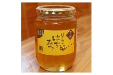 一戸町産はちみつ　はち郎のはちみつ850g(百花)【1125979】