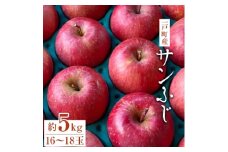 一戸町産サンふじ約5キロ(16～18玉)【1090160】