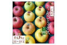 一戸町産りんごミックス約5キロ(サンふじ・はるか・シナノゴールド・金星・王林)16～18玉【1090161】