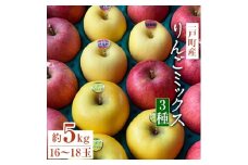 一戸町産りんごミックス約5キロ(サンふじ・はるか・シナノゴールド)16～18玉【1137801】