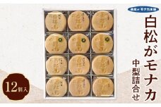 白松がモナカ 中型詰合せ 12個入【モナカ 和菓子 詰め合わせ 仙台銘菓 白松がモナカ 中型詰合せ ふるさと納税 仙台市 名物菓子】