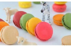 【kazunori ikeda individuel】マカロン20個入り　【お菓子・スイーツ・マカロン】
