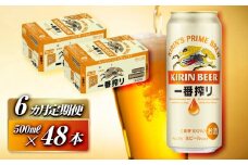 【6ヵ月定期便】キリン 一番搾り 500ml×48本　【定期便・ お酒 アルコール アルコール飲料 晩酌 家飲み 宅飲み 飲み会 集まり バーベキュー BBQ イベント 飲み物 缶ビール 】