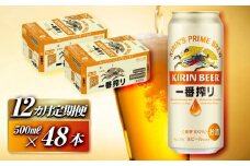 【12ヵ月定期便】キリン 一番搾り 500ml×48本　【定期便・ お酒 アルコール アルコール飲料 晩酌 家飲み 宅飲み 飲み会 集まり バーベキュー BBQ イベント 飲み物 缶ビール 】