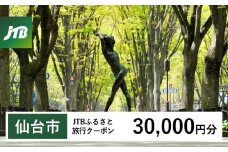 【仙台市】JTBふるさと旅行クーポン（Eメール発行）（30,000円分）【宮城県 仙台市 トラベル 宿泊 予約 人気 おすすめ】