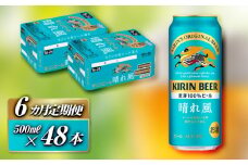 【6ヵ月定期便】キリン 晴れ風 500ml×48本　【定期便・ お酒 アルコール アルコール飲料 晩酌 家飲み 宅飲み 飲み会 集まり バーベキュー BBQ イベント 飲み物 缶ビール 】