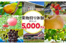 旬の果物摘み取り体験チケット　1回5,000円分　【チケット 券 人気 おすすめ 】