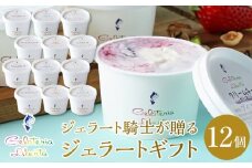 ジェラート騎士が贈る　ジェラートギフト12個セット【菓子 アイス ヨーグルト ジェラート スイーツ デザート 乳製品 仙台 ギフト グルメ 高級 甘味 贈り物 プレゼント クリーミー】