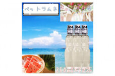 【なつかしい味】ペットラムネ（250ml×30本）