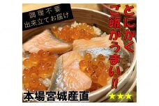 宮城 三陸 本場の味 極上鮭とイクラの味 ご飯が旨い◎鐘崎の「はらこ飯」6P