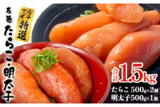 たらこ 明太子 セット 1.5kg (500g×3)  薄皮 プチプチ 魚卵 海鮮 冷凍 ご飯のお供 辛子明太子 マルイチ高橋商店 大きい 1本物 贈答 宮城 タラコ ふっくら 贈り物 家庭用 めんたいこ 1500g 1.5キロ 宮城県 石巻 石巻市 送料無料
