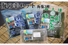 今野水産の海の幸 塩蔵わかめ・塩蔵こんぶセット