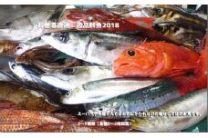 石巻港直送 逸品鮮魚