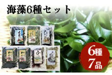 十三浜 浜だより 海藻 6種7品 塩蔵わかめ 早煮こんぶ とろろ昆布 ひじき 焼岩のり ふのり わかめ こんぶ 海苔