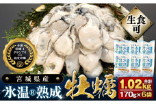 宮城県産 かき 氷温熟成 牡蠣 生食用（冷凍）170g × 6袋 約1kg 生食 むき身 小分け むき カキ 冷凍かき 宮城 小分け 冷凍 バラバラ冷凍 冷凍カキ かき 牡蠣 海鮮 魚介 貝類 海の幸 BBQ 家庭用 まるたか水産 宮城県 石巻市 石巻応援