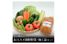 野菜 水沢種苗店おススメ新鮮野菜・加工品セット 宮城県 石巻市 おやさい やさい お野菜 せっと 新鮮お野菜 旬  お届け 