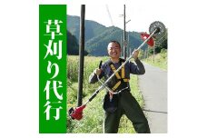 空き地の草刈り代行（10坪単位）