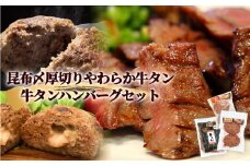 牛タン 昆布〆厚焼きやわらか 牛タン ・牛タンハンバーグ2種セット 冷凍 宮城県 石巻市 牛たん 柔らかい 厚切り お肉 肉 ハンバーグ レトルト