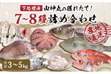 山神丸の獲れたて直送! 石巻の鮮魚（7～8種） 詰め合わせ3～5㎏（大）