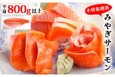 宮城県 みやぎサーモン（小骨処理済）半身 800g以上 冷凍 刺身 生食 鮭 サーモン 銀鮭 骨取り サーモンフィレ 切り身 フィレ 宮城サーモン さけ サケ シャケ しゃけ 魚 海鮮 魚介 お刺身 焼き魚 切身 無塩 宮城県 石巻市