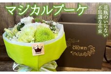 マジカルブーケ＜白・グリーン系＞ 生花 花束 ブーケ 可愛い おしゃれ 白 グリーン 