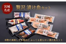 贅沢漬け魚セット 8種 冷凍 漬魚 銀鮭 紅鮭 目抜 銀だら カレイ 金目鯛 吉次 銀鱈 西京漬け 粕漬け みりん漬け 魚醤干し 漬け魚 魚 惣菜 和風惣菜 和食 簡単調理 時短調理 焼くだけ 焼き魚 おかず ご飯のお供 お取り寄せ 家庭用 宮城県 石巻市