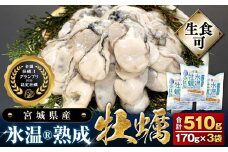 宮城県産 かき 氷温熟成 牡蠣 生食用（冷凍）170g × 3袋 510g 生食 むき身 小分け むき カキ 冷凍かき 宮城 小分け 冷凍 バラバラ冷凍 冷凍カキ かき 牡蠣 海鮮 魚介 貝類 海の幸 BBQ 家庭用 まるたか水産 宮城県 石巻市 石巻応援