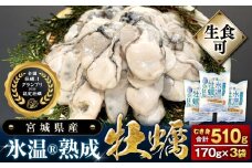 宮城県産 かき 氷温熟成 牡蠣 生食用（冷凍）170g × 3袋 510g 生食 牡蠣むき身 小分け むき身 むき牡蠣 カキ オイスター 濃厚 冷凍かき 宮城 小分け 冷凍 バラバラ冷凍 冷凍カキ かき 牡蠣 海鮮 魚介 貝類 海の幸 BBQ 家庭用 まるたか水産 宮城県 石巻市 宮城 石巻 石巻応援