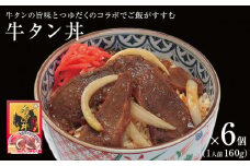 牛タン丼 6個（6人前） 常温 レトルト 丼の素 宮城県 石巻市