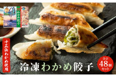 わかめ餃子 48個 セット わかめ 餃子