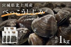 しじみ 北上川のべっこうしじみ 1kg（200g×5） 冷凍 石巻産 小分け 真空パック しじみ汁 貝 シジミ 出汁 味噌汁 酒蒸し バター焼き おつまみ 酒の肴 簡単調理 時短調理 お取り寄せ 宮城県 石巻市