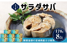 サバ缶 缶詰 ＜数量限定＞ サラダサバ 8缶 さば サバ 鯖 saba さば油漬け オイル 常温 さば缶 鯖缶 魚 缶 缶つま 宮城県 石巻市 木の屋 常温保存 防災 非常食 キャンプ アウトドア 保存食 長期保存 国産 缶詰め 鮮魚 綿実油 オイル漬け 保存料 無添加