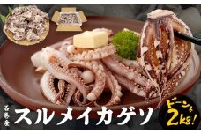 いか 〈 訳あり 〉配送時期指定なし 宮城県産 スルメイカ ゲソ 2kg 冷凍 国産 スルメイカ いか 下足 イカ イカゲソ カルパッチョ おつまみ 魚介類 焼イカ イカ料理  バーベキュー BBQ わけあり 不揃い 烏賊 炒め物 フライ ゲソ天 唐揚げ 石巻応援