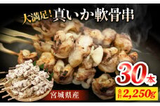 宮城県産真いか軟骨串（3０本入り）・バーベキューBBQ