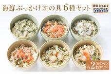 海鮮・三陸ぶっかけ丼の具 6種セット 各2パック 冷凍 三陸 海鮮丼 丼の具 サーモン たこ ほたて ひらめ えび 銀鮭 三陸産 海鮮 魚介 魚介類 簡単調理 時短調理 おかず おつまみ 酒の肴 家庭用 贈り物 お取り寄せ グルメ 食べ比べ 詰め合わせ セット 石巻市 宮城県