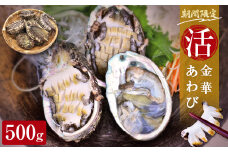 金華活あわび　５００g